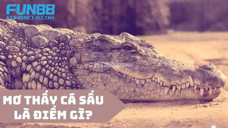Giấc mơ này mang ý nghĩa bạn sẽ gặp phải một đối thủ đáng gờm trong tương lai